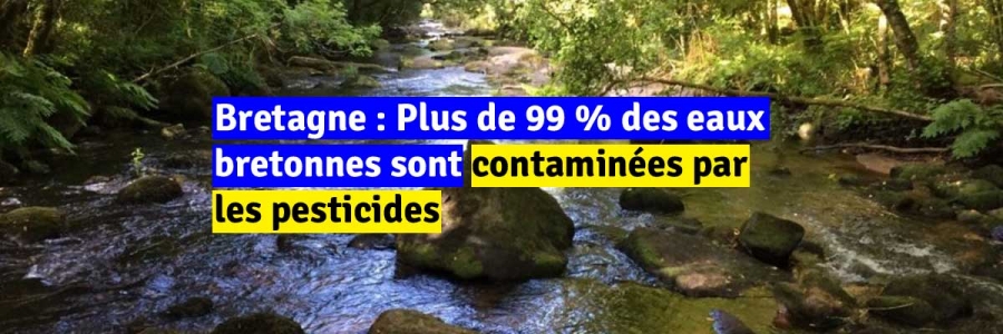 Bretagne : Plus de 99 % des eaux bretonnes sont contaminées par les pesticides